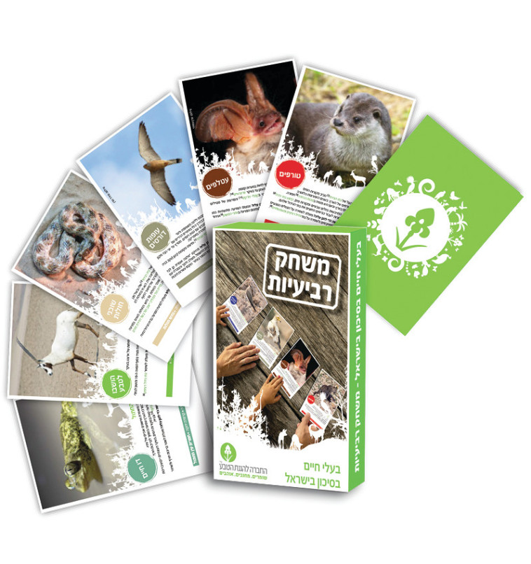 משחק רביעיות של בעלי חיים בסיכון בארץ ישראל, החברה להגנת הטבע. צילום: יח&quot;צ