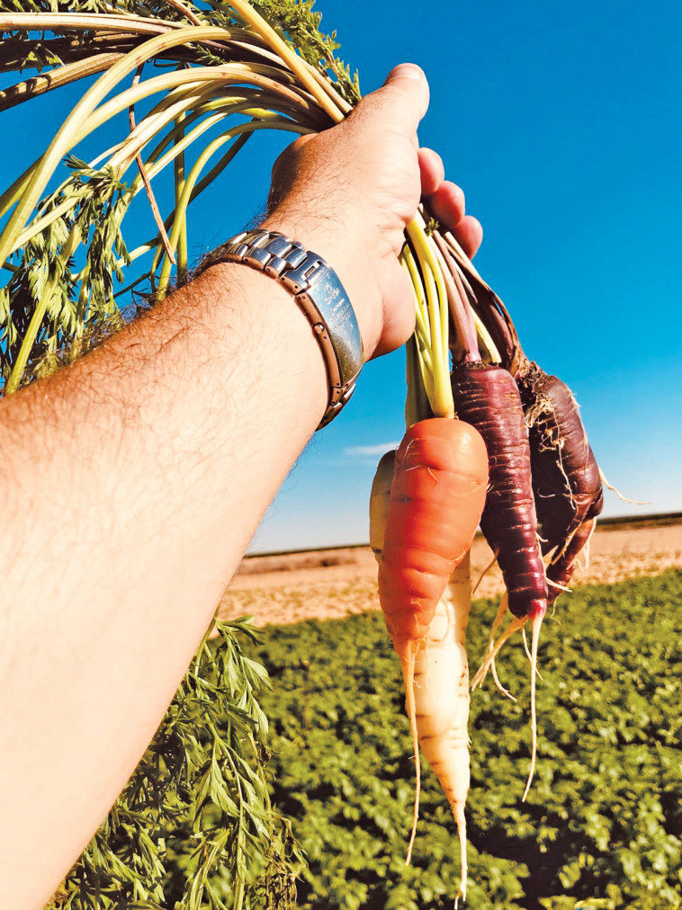 שביל הסלט. צילום: שביל הסלט
