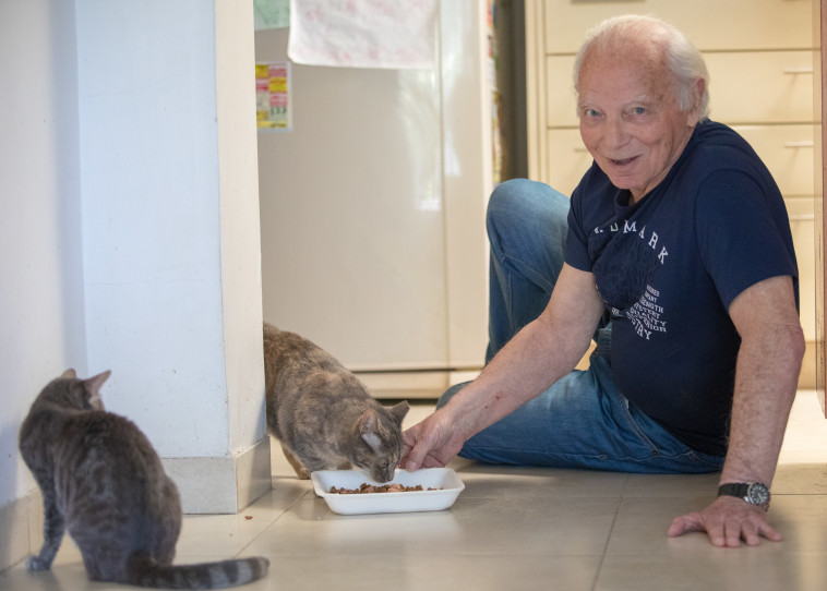 &quot;איש החתולים מהשואה&quot;. צילום: יוסי אלוני
