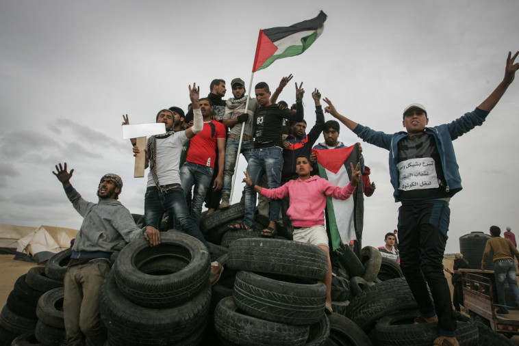 צילום: עבד ראחים חטיב, פלאש 90 