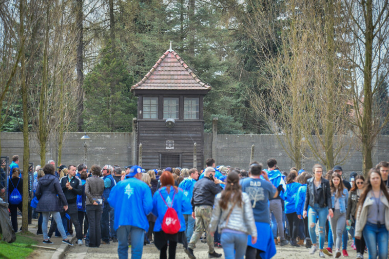 צילום: יוסי זליגר, פלאש 90