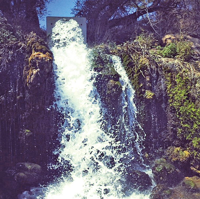 המעיין הנסתר. צילום: מיטל שרעבי