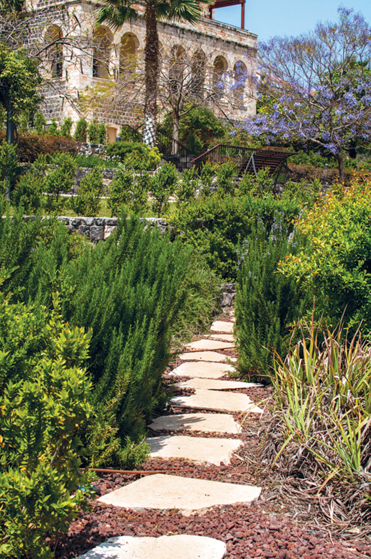 המלון הסקוטי. צילום: סיון אסקיו