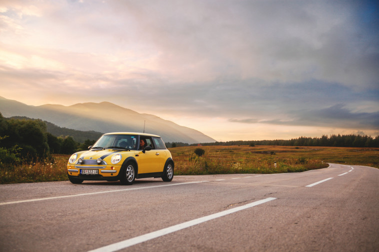 פאדי אל בטאש