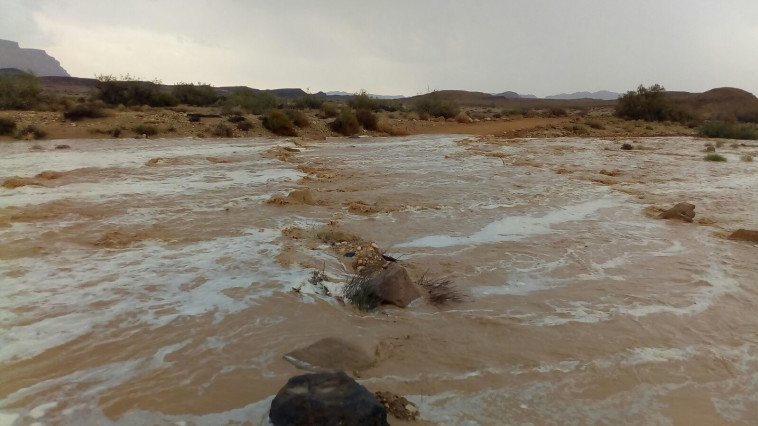 שיטפונות בדרום. צילום: רשות הטבע והגנים צור נצר 