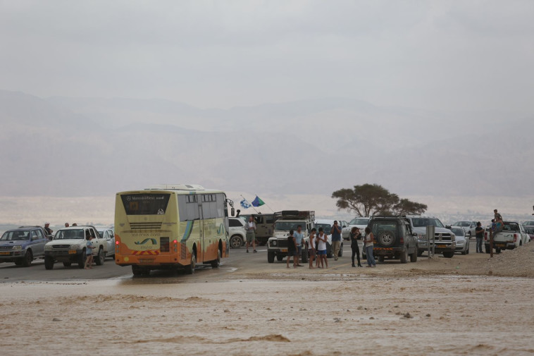 מאמצי החילוץ בנחל צפית. צילום: הדס פרוש, פלאש 90