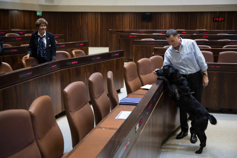 מנטרלים מוקשים? אדלשטיין וכלב זיהוי חומרי נפץ מומו. צילום: הדס פרוש, פלאש 90