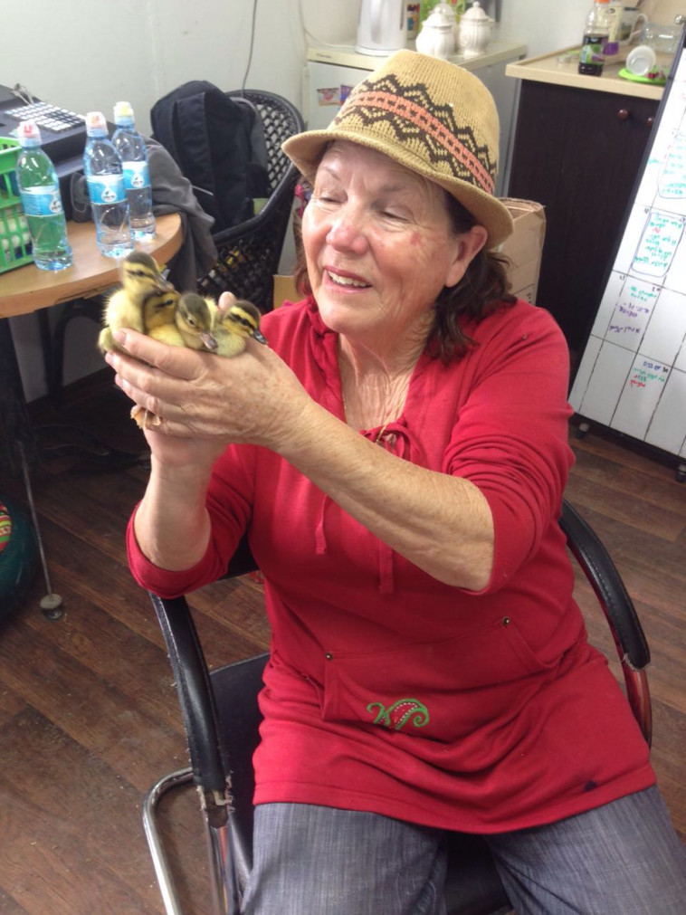 &quot;עד היום הטיול נשאר טראומה עבור הקיבוץ&quot;. חווה זלינגר, צילום באדיבות החווה של חווה