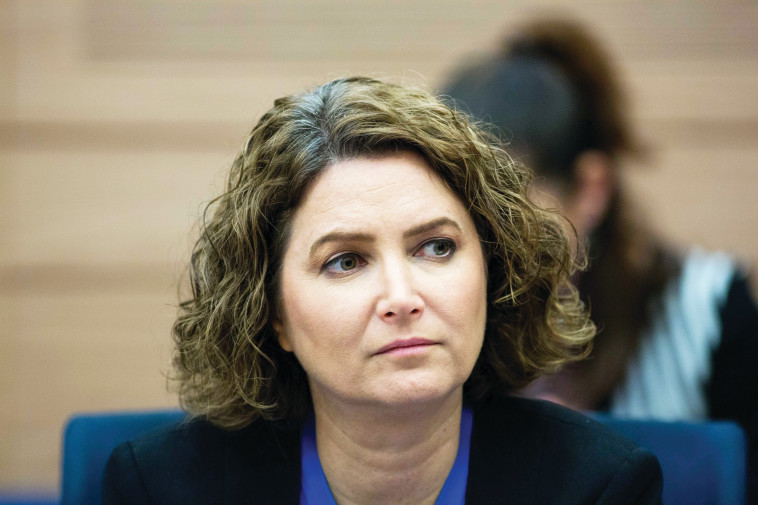 &quot;תסמינים שונים של אותה המחלה&quot;. יוזמת החוק מיכל רוזין, צילום: יונתן זינדל, פלאש 90