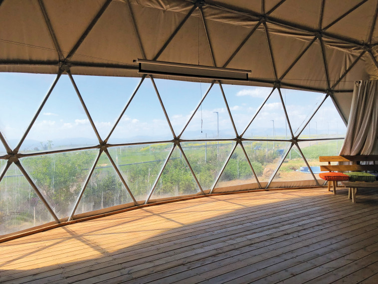 חוות נטור. צילום: מיטל שרעבי