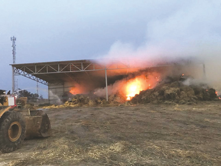 שריפה בכיסופים. צילום: השומר החדש
