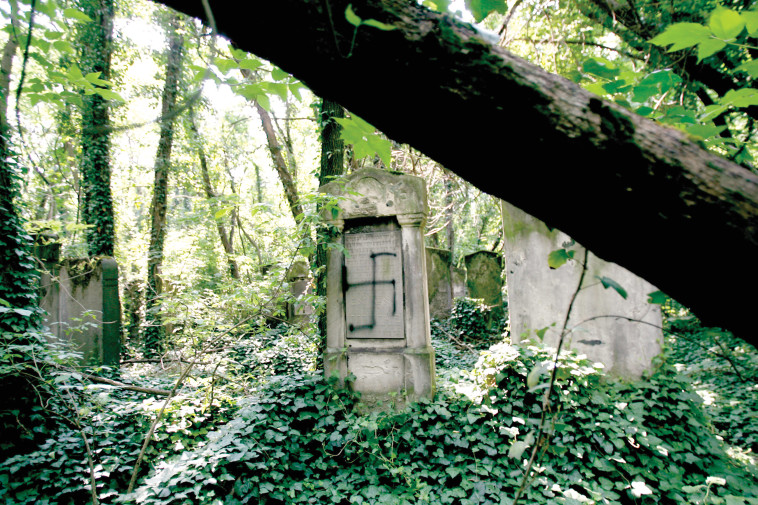 קברים מחוללים בפולין. צילום: רויטרס