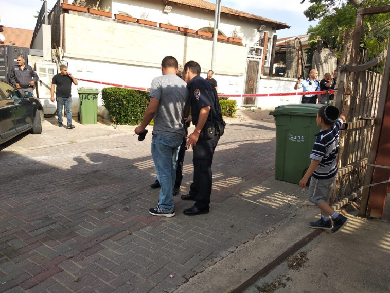 צילום: יוסף משריקי צילום: יוסף משריקי