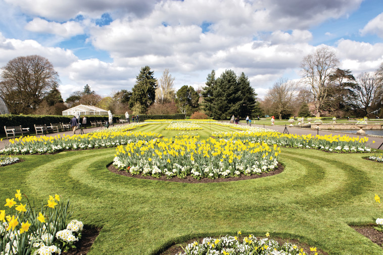 לשכוח מהמטלות המלכותיות. ה&quot;קיו גארדנס&quot;, צילום: רויטרס