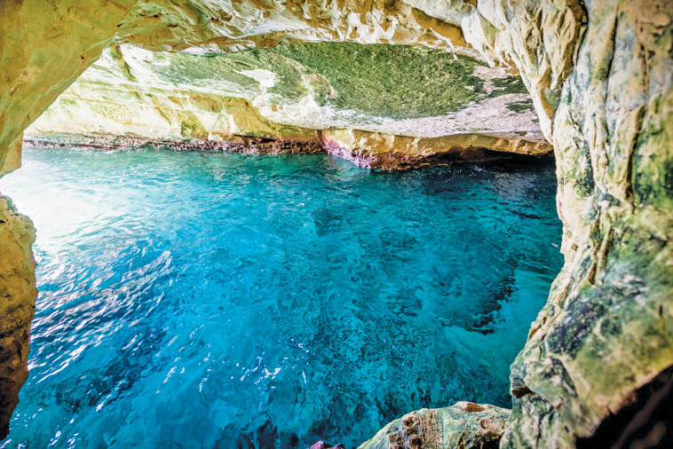 ראש הנקרה. צילום: יח&quot;צ