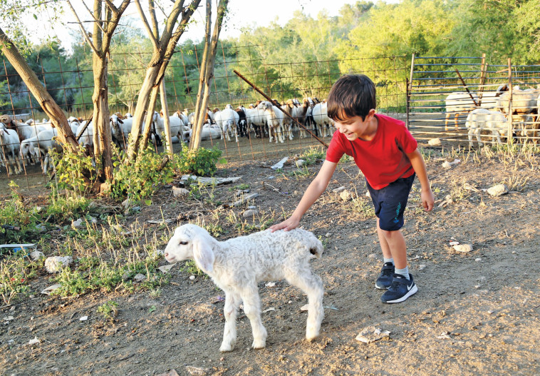 פסטיבל חגיגה בלבן. צילום: דודי לזר