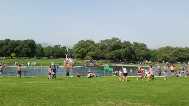 צילום: דביר סורמלו, רשות הטבע והגנים