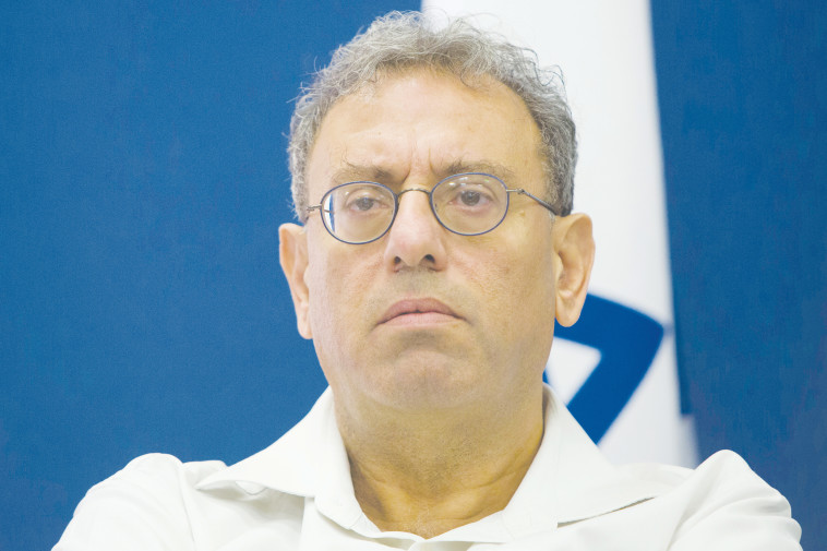 צאיג. צילום: יונתן זינדל, פלאש 90 צאיג. צילום: יונתן זינדל, פלאש 90