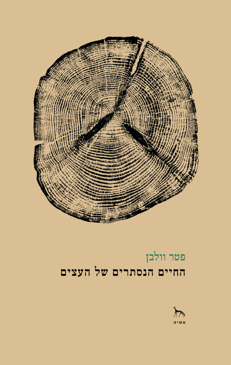  החיים הנסתרים של העצים. כריכת הספר 