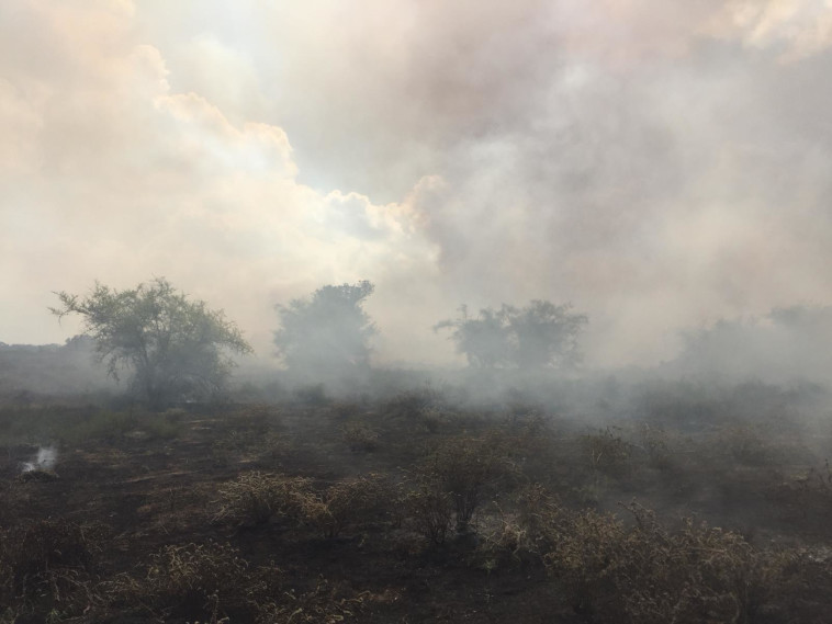 צילום: תומר עופרי, רשות הטבע והגנים 