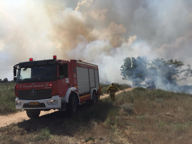 צילום: תומר עופרי, רשות הטבע והגנים 
