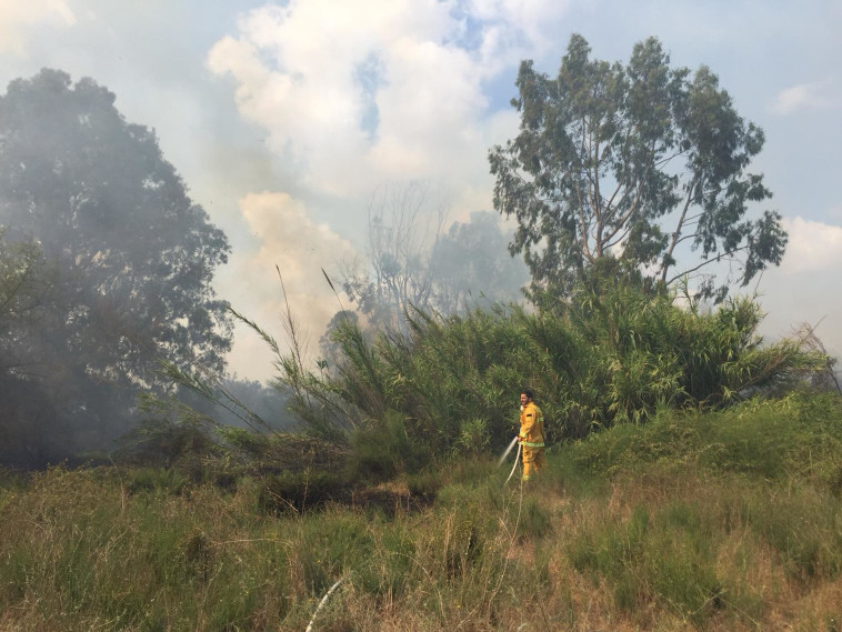 צילום: תומר עופרי, רשות הטבע והגנים 