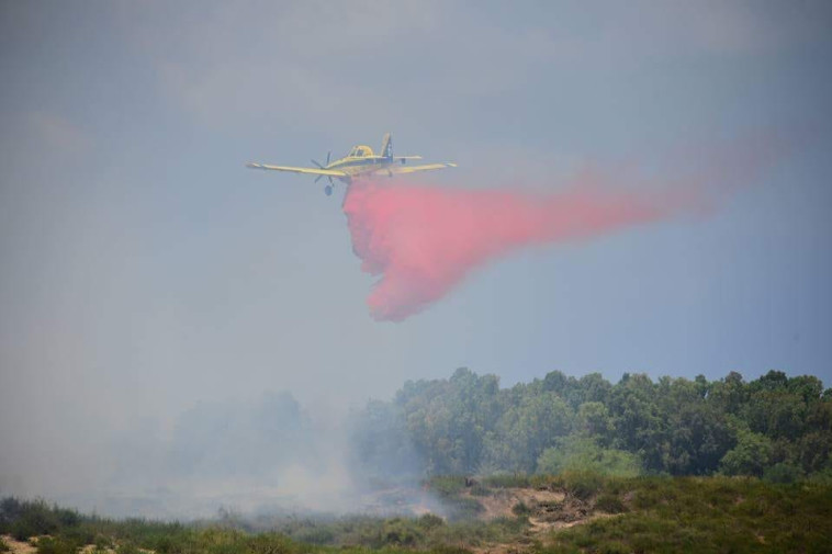 שריפה בשמורת כרמיה