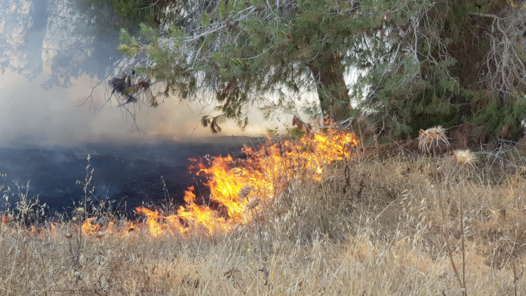 שריפה בעוטף עזה - טרור העפיפונים. צילום: טל לב רם