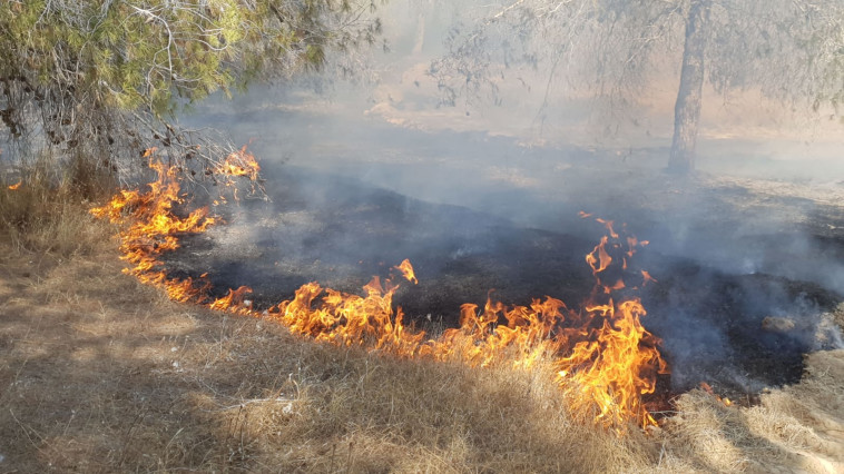 שריפה בעוטף עזה - טרור העפיפונים. צילום: טל לב רם שריפה בעוטף עזה - טרור העפיפונים. צילום: טל לב רם