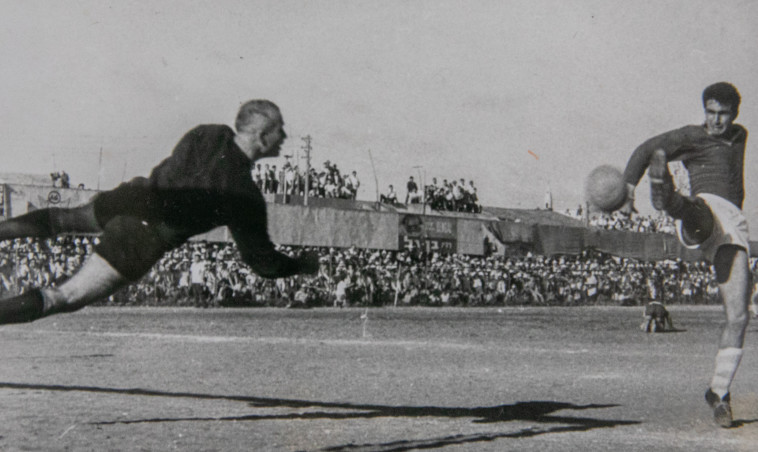בוחוס ג'וג'וסיאן. צילום: יוסי אלוני