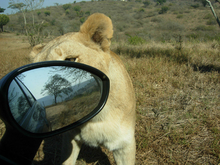 דרום אפריקה. צילום: רויטרס