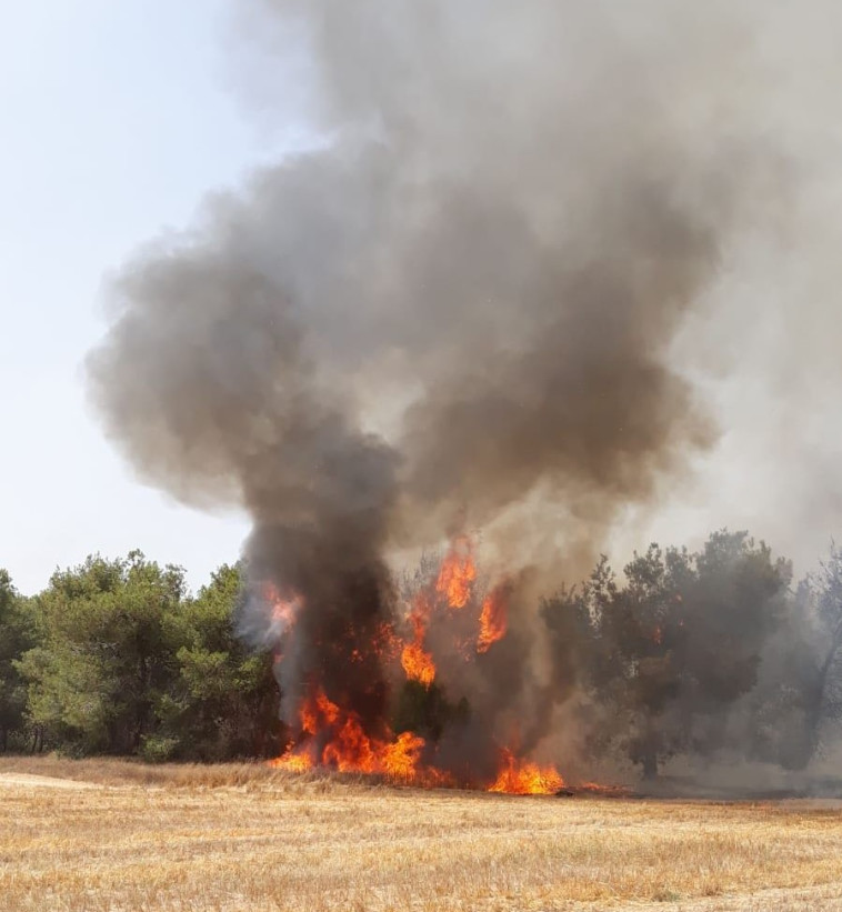 שריפה בעוטף עזה. צילום: דוברות מועצה אזורית אשכול