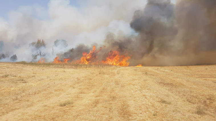 צילום: דוברות מועצת אשכול