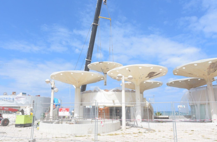 כיכר אתרים. צילום: אבישי טייכר