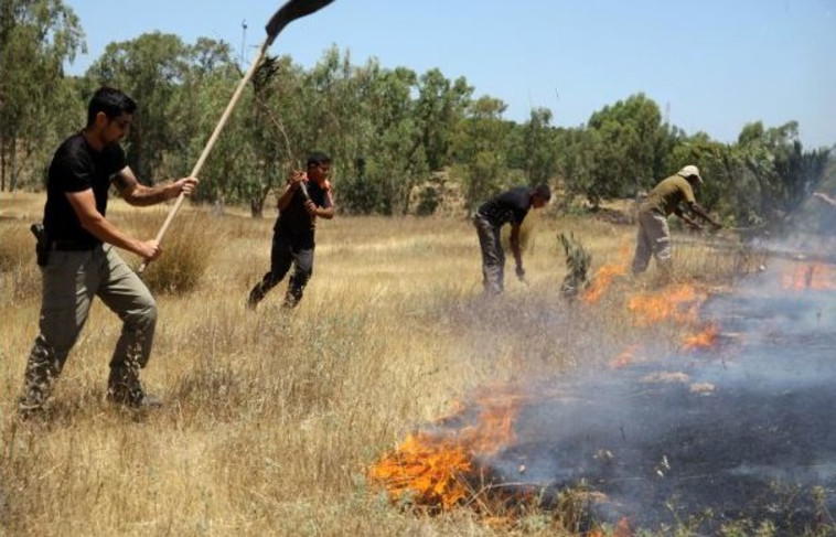 שדות כיסופים עולים בלהבות. צילום: אריאל בשור שדות כיסופים עולים בלהבות. צילום: אריאל בשור