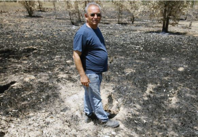 חבר הקיבוץ בני חסון. צילום: אריאל בשור חבר הקיבוץ בני חסון. צילום: אריאל בשור
