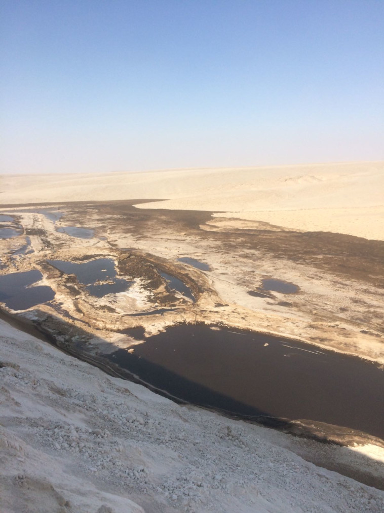 אסון דליפת החומצה ממפעלי &quot;רותם אמפרט נגב&quot;. צילום: רשות הטבע והגנים