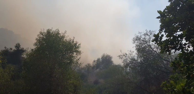 שריפה סמוך לבית שמש. צילום: כבאות והצלה
