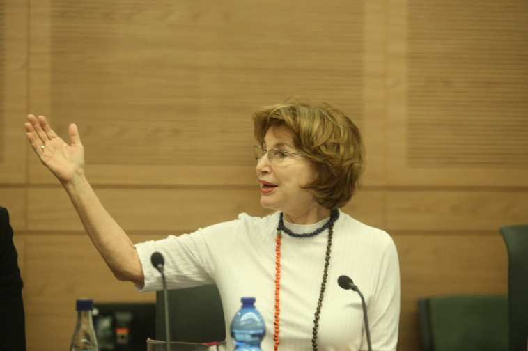 גרמן בוועדת חוק הלאום. צילום: מרק ישראל סלם