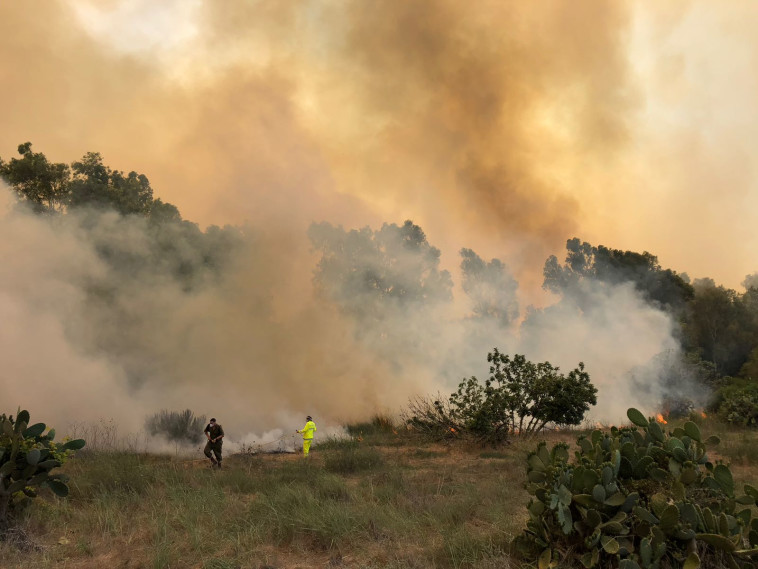 תבערה בעוטף עזה, בזמן שמאחורי הקלעים ארה&quot;ב פועלת לשיקומה של עזה. צילום: תומר עופרי, רשות הטבע והגנים