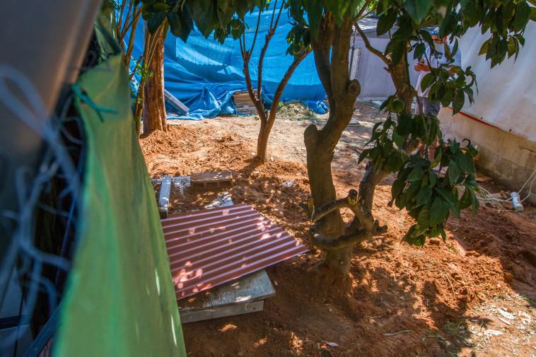 המקום בו נמצאה גופתה של אופירה חיים. צילום: פלאש 90