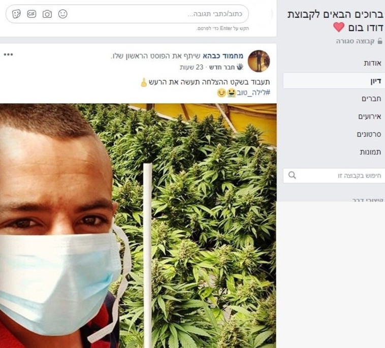 תיעוד של הקבוצות. קרדיט: צילום מסך פייסבוק