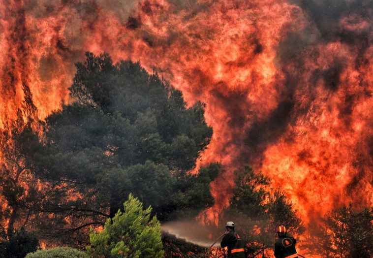 שריפות ביוון. צילום: AFP שריפות ביוון. צילום: AFP