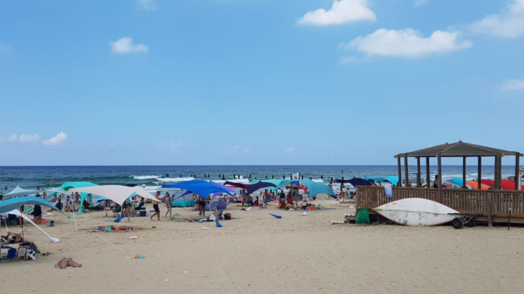 חוף בית ינאי, היום. צילום: רשות הטבע והגנים אופיר בריקנשטיין