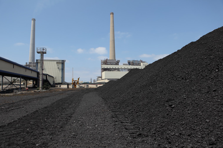 צילום:  יעקב נעמי, פלאש 90 