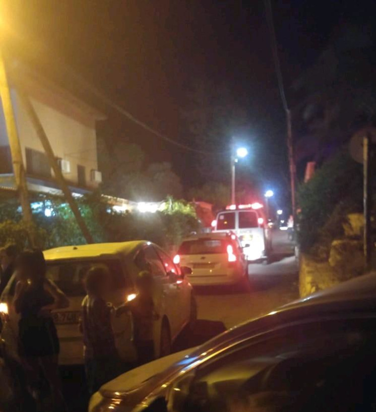 צילום: מד&quot;א