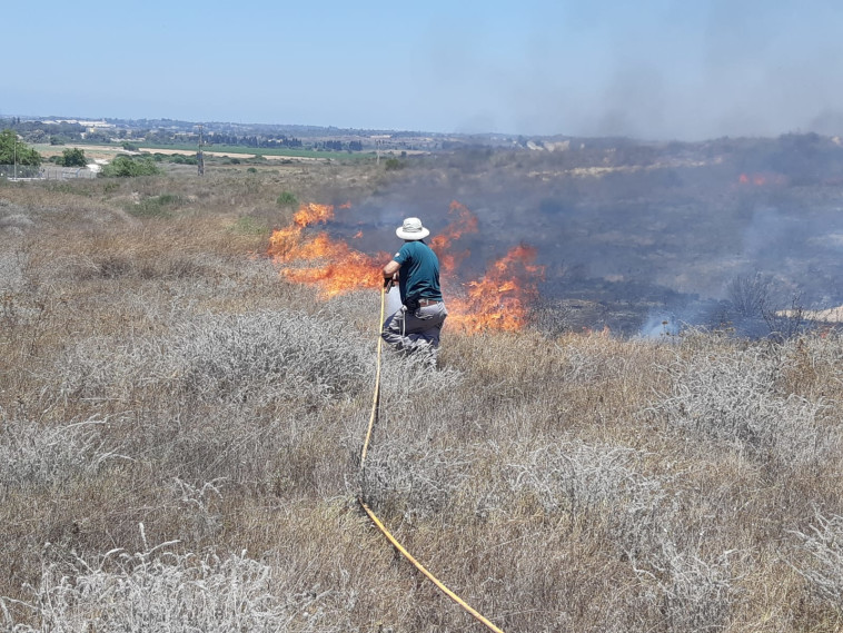 שריפה בעוטף עזה. צילום: רשות הטבע והגנים, קובי סופר