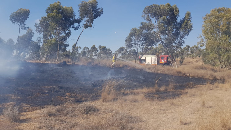 כוחות הכיבוי ביער בארי. צילום: צ'רלי מור יוסף כוחות הכיבוי ביער בארי. צילום: צ'רלי מור יוסף