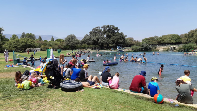 חורשת טל, היום. צילום: רשות הטבע והגנים