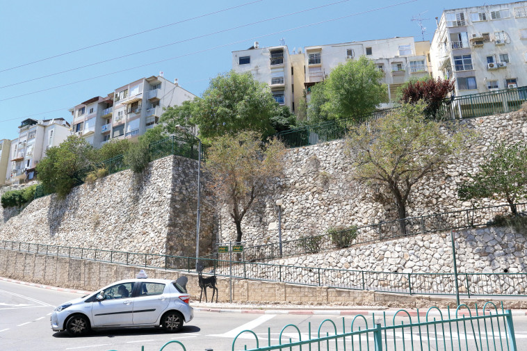  &ldquo;עיר שהיא אבן חן&ldquo;. יקנעם עילית. צילום: ערן לוף